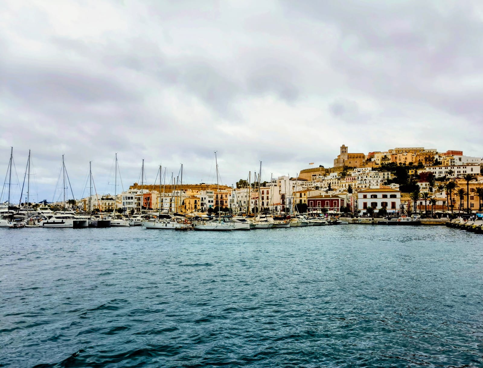 Marina Ibiza mira más allá de la Bandera Azul