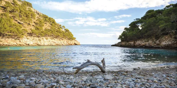 Viajar para descubrir el mar que no se ve: ruta por las praderas submarinas de España