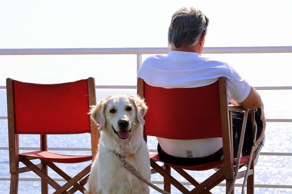 Viajar a Baleares con mascota: 30.000 animales eligieron Trasmed en un año
